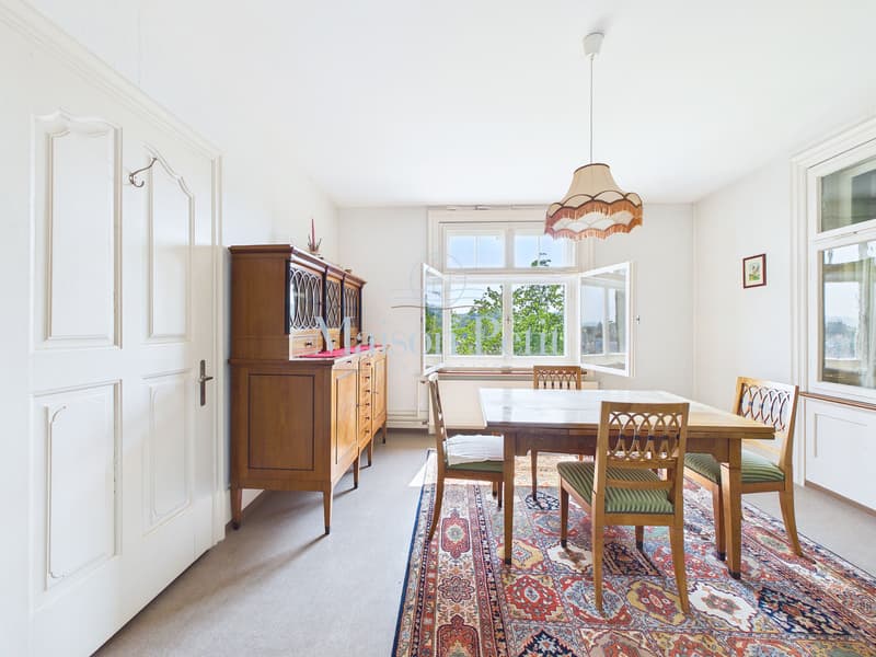 Historic 12.5-room villa with grand development potential (5)