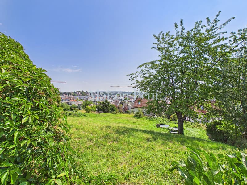 Historic 12.5-room villa with grand development potential (8)