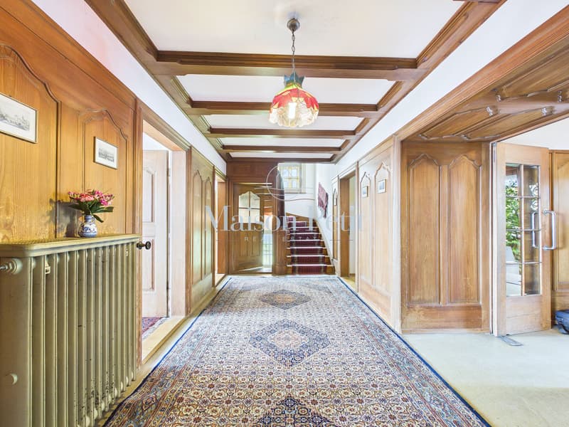 Historic 12.5-room villa with grand development potential (4)