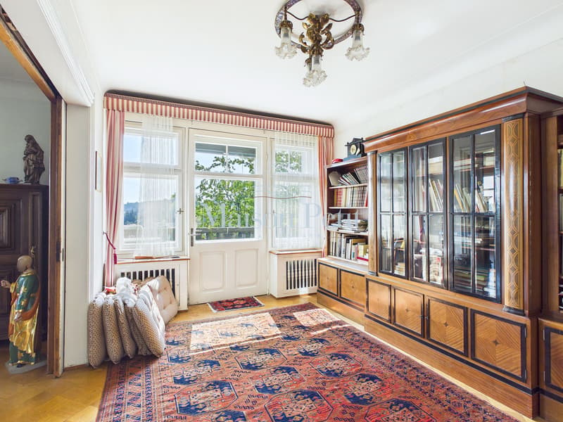 Historic 12.5-room villa with grand development potential (3)