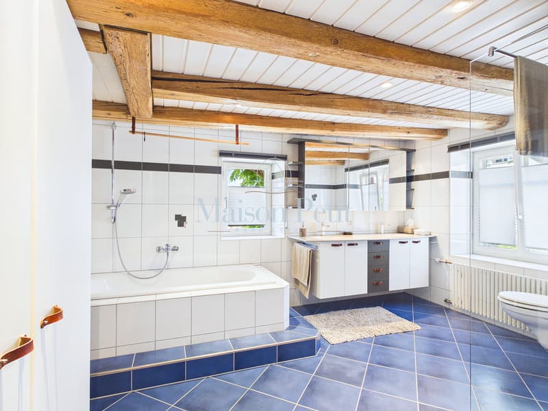 Historic Farmhouse, a true rarity in the heart of Thurgau! (10)