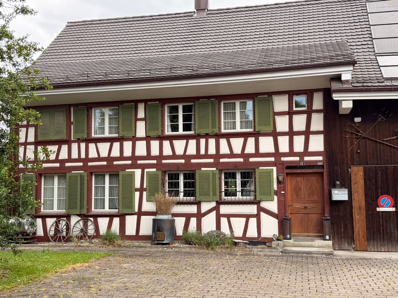 Ein historisches gut unterhaltenes Riegelhaus im Thurgau sucht eine neue Familie (2)
