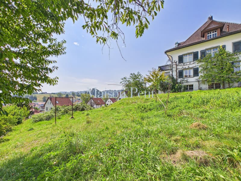Historische 12.5-Zimmer-Villa mit grandiosem Entwicklungspotential (2)
