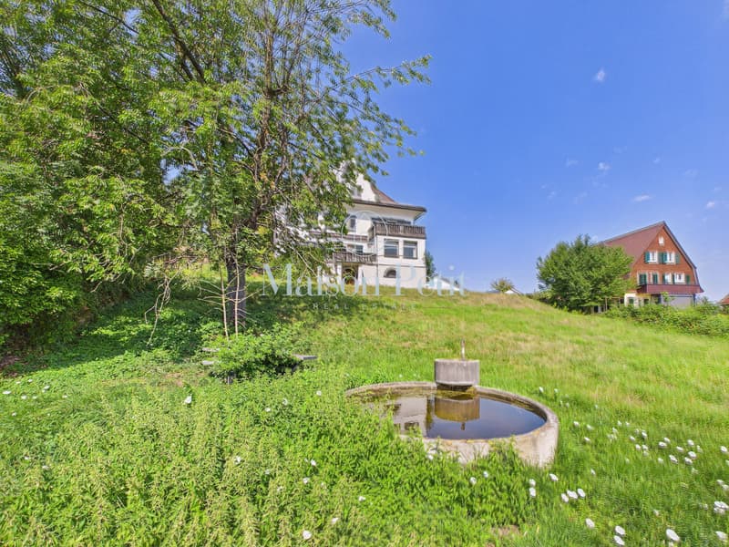Historische 12.5-Zimmer-Villa mit grandiosem Entwicklungspotential (7)