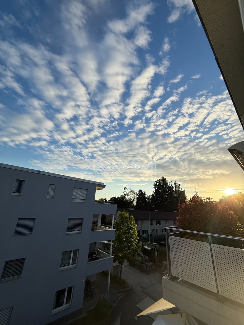 Zürich-City - mit Aussicht auf den Üetliberg an ruhiger Lage, mit allem was das Herz begehrt. Ideal für Singles oder Paare. (11)
