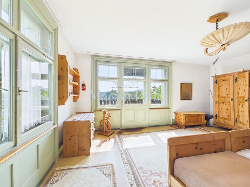 Historische 12.5-Zimmer-Villa mit grandiosem Entwicklungspotential (6)