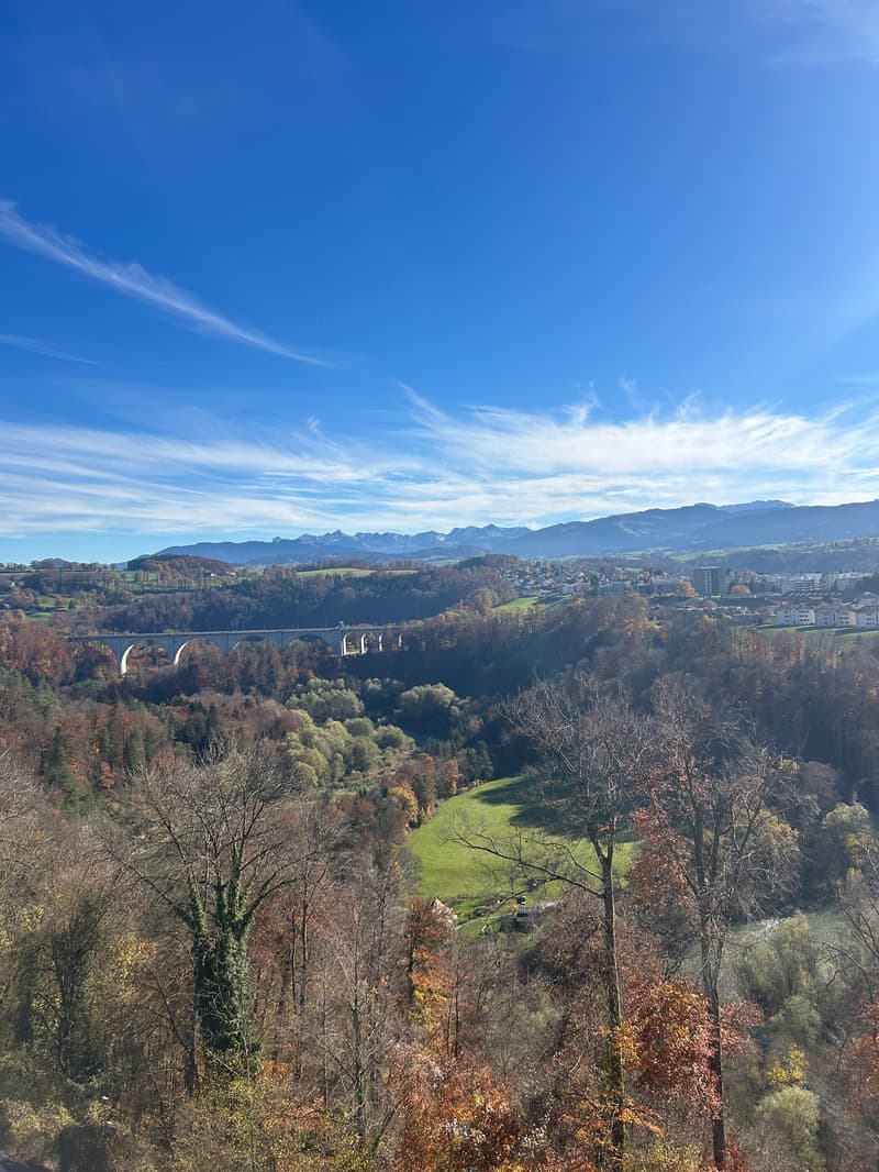 Exceptional 5.5-room attic in Villars-sur-Glâne with 3 indoor parking spaces (2)