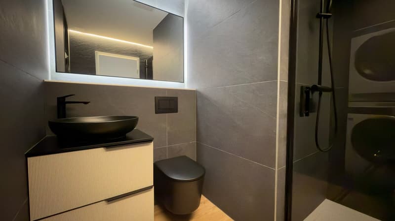 Villars-sur-Glâne : attique d’exception de 5.5 pièces, 3 places de parc (6)