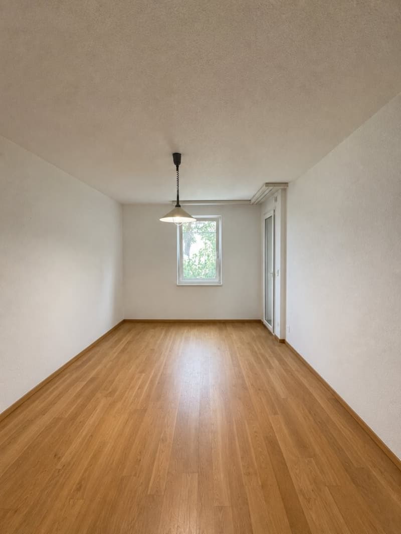 Zimmer_1.png