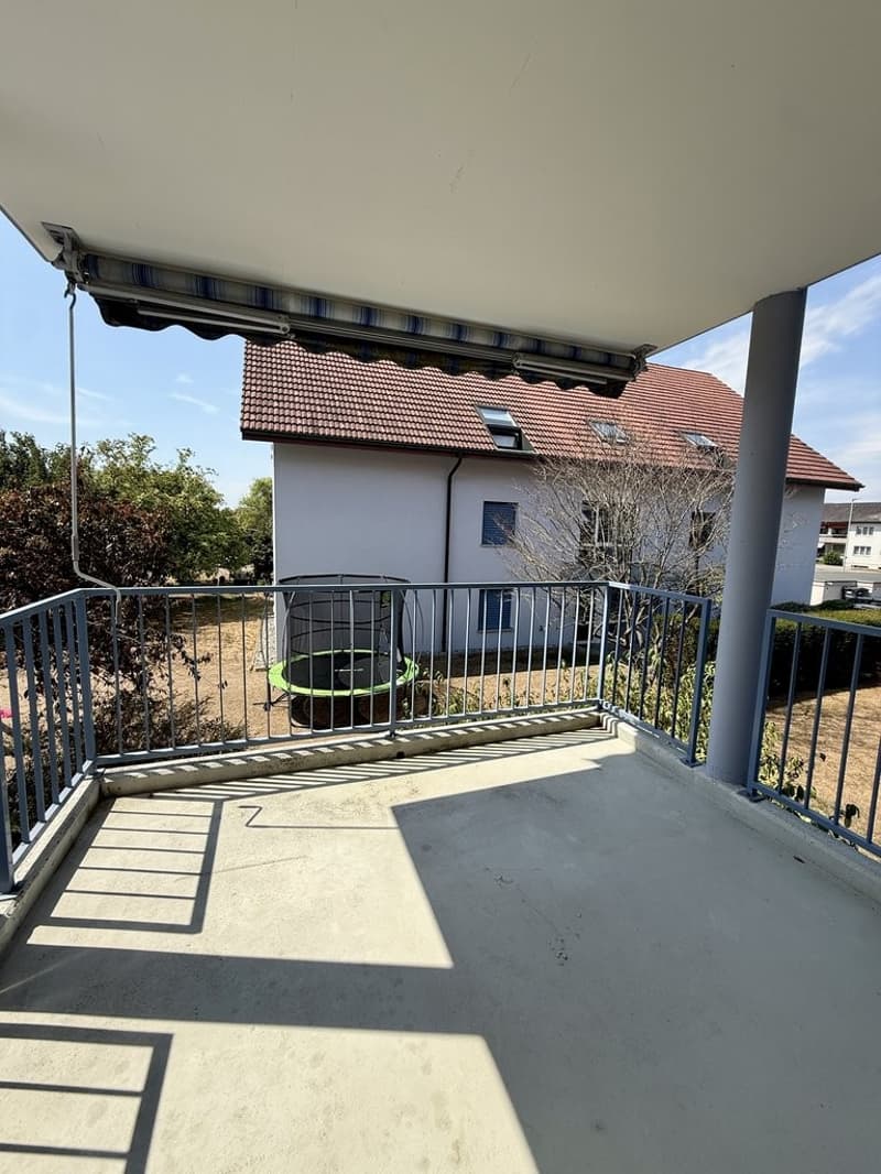 IMG_4068.jpeg