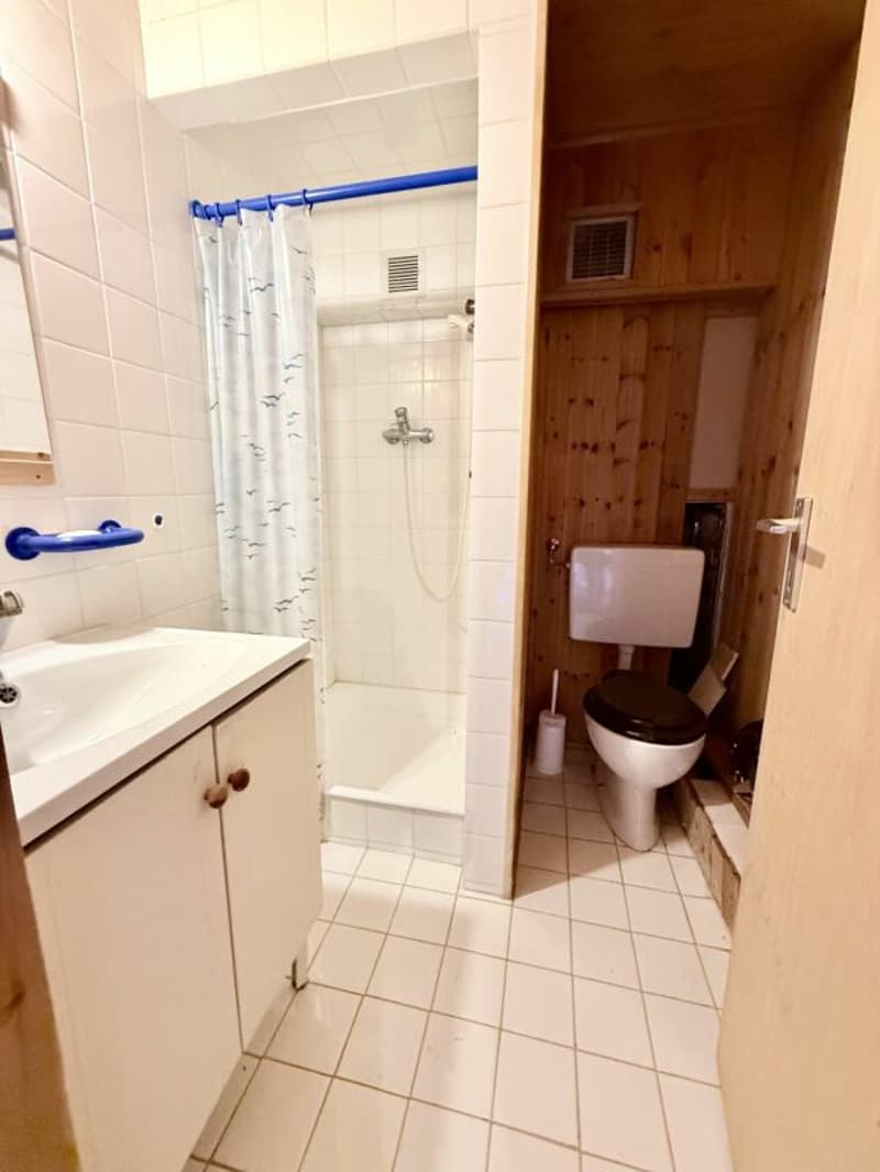 Charmante maison avec terrain à bâtir (11)