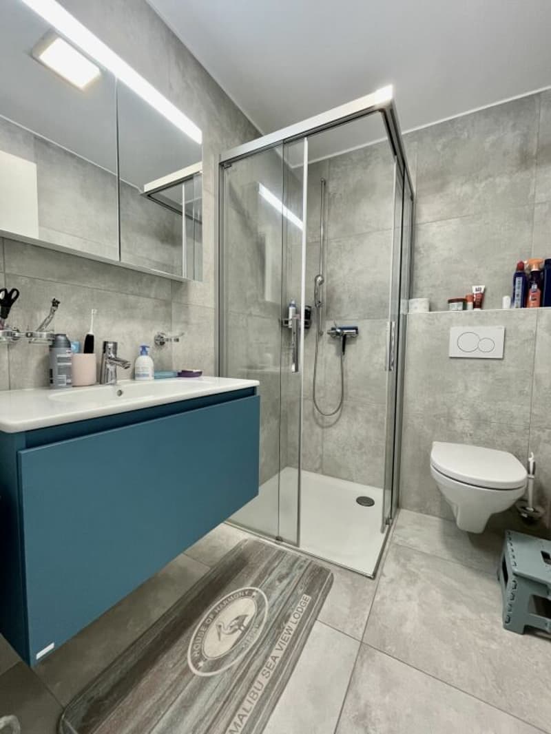 Casa con 2 appartamenti, Mayens-de-Chamoson (10)