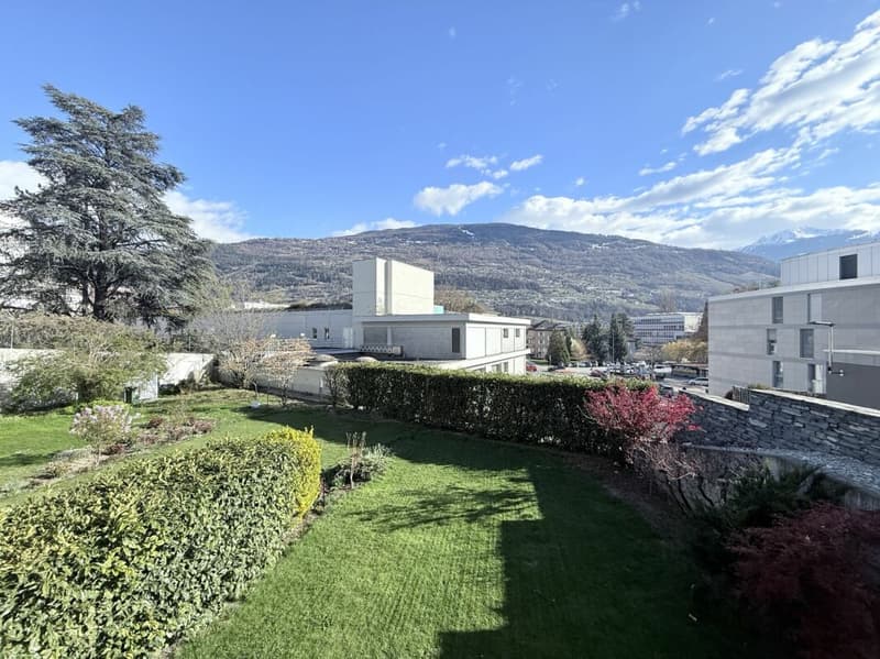 Meraviglioso appartamento di 3½ locali nel cuore di Sion (5)