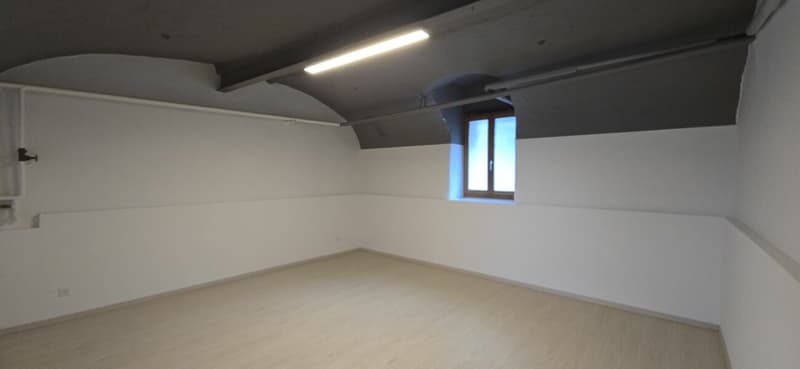 Vernayaz, charming 2-room apartment for sale (3)