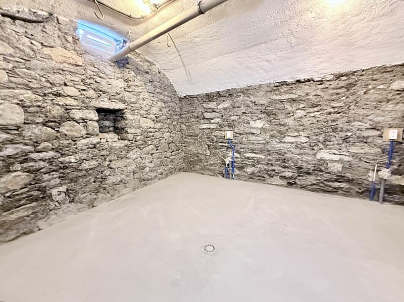 Charmantes renoviertes Apartment mit Charakter im Herzen von Vétroz (6)