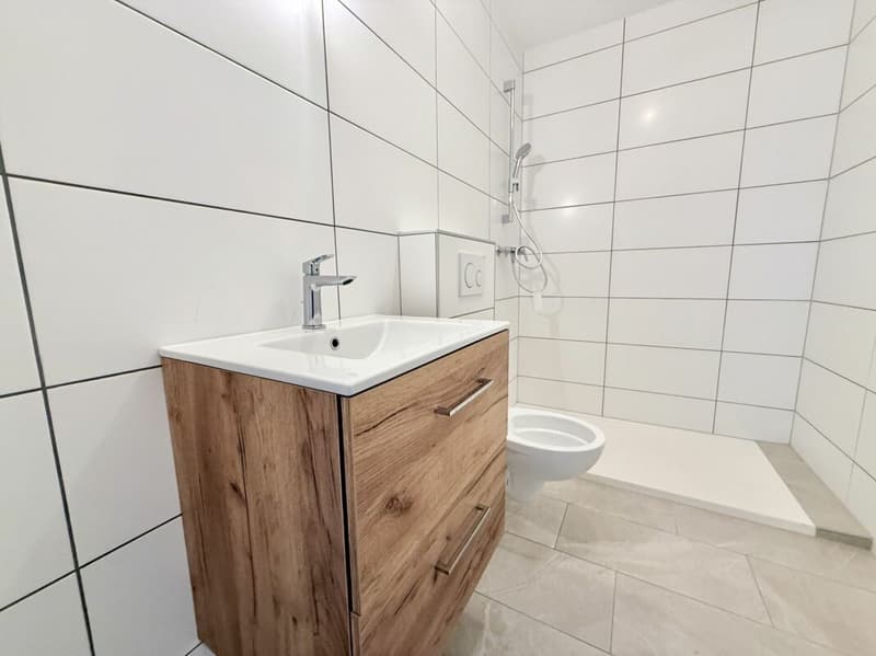 Charmantes renoviertes Apartment mit Charakter im Herzen von Vétroz (4)