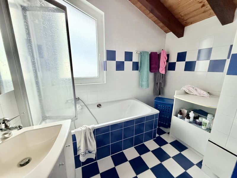 Sale - Villa Ormône (12)