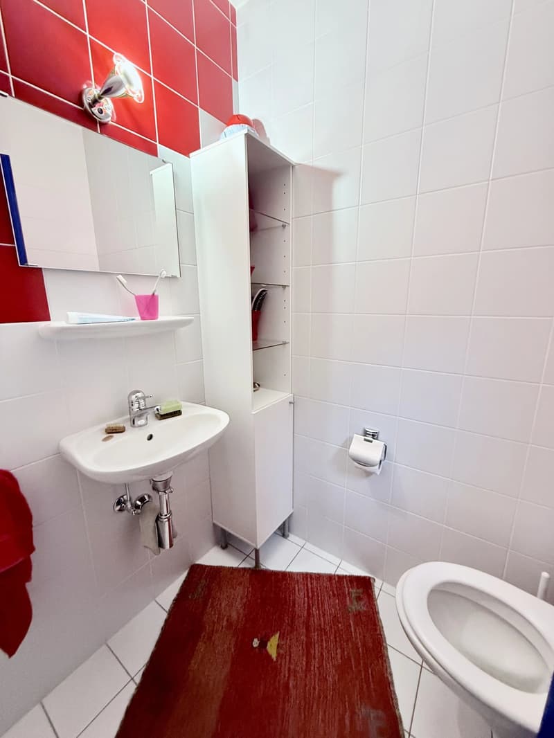 Sale - Villa Ormône (13)
