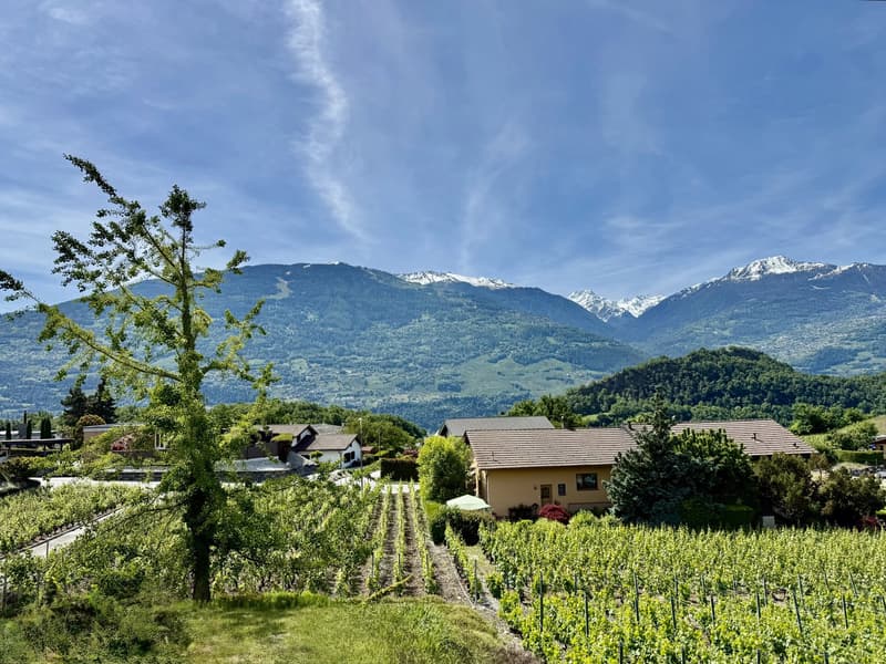 Sale - Villa Ormône (2)