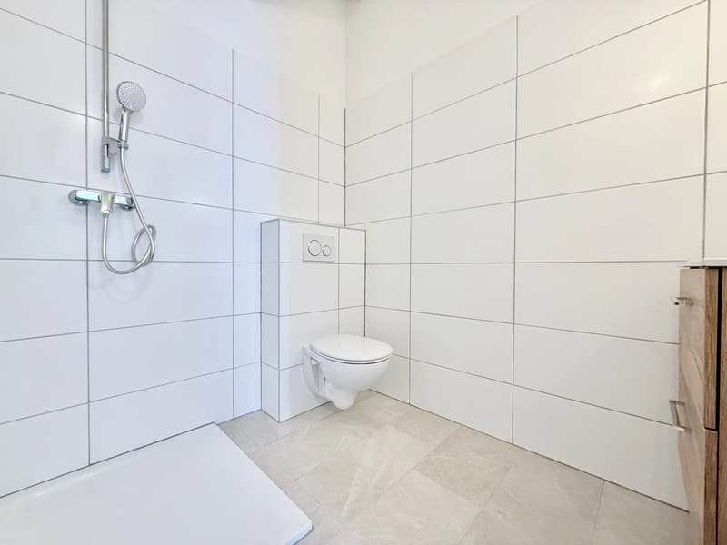 Splendid renovated building with character in the heart of the old village of Vétroz (11)
