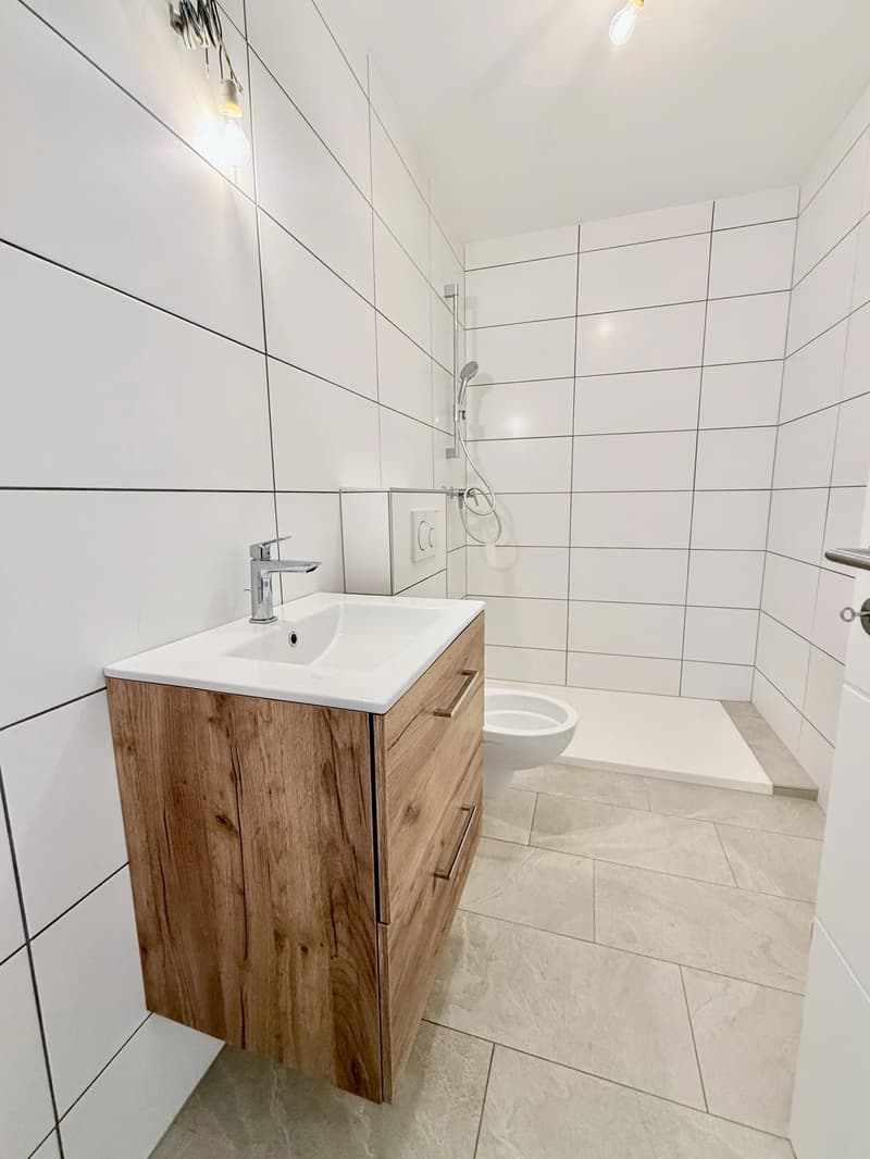 Splendid renovated building with character in the heart of the old village of Vétroz (5)