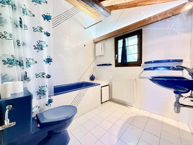 Salle d'eau