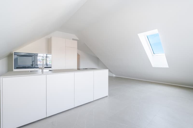 Küche mit Kochinsel, Flächendunstabzug, Kühlschrank und separatem Gefrierschrank