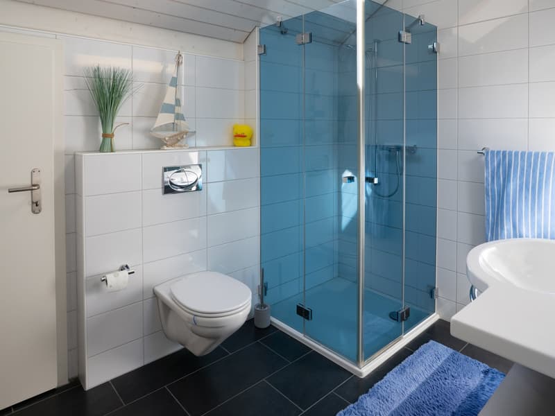Stilvolles 6.5 Zimmer-Einfamilienhaus mit unverbaubarer Alpensicht (17)