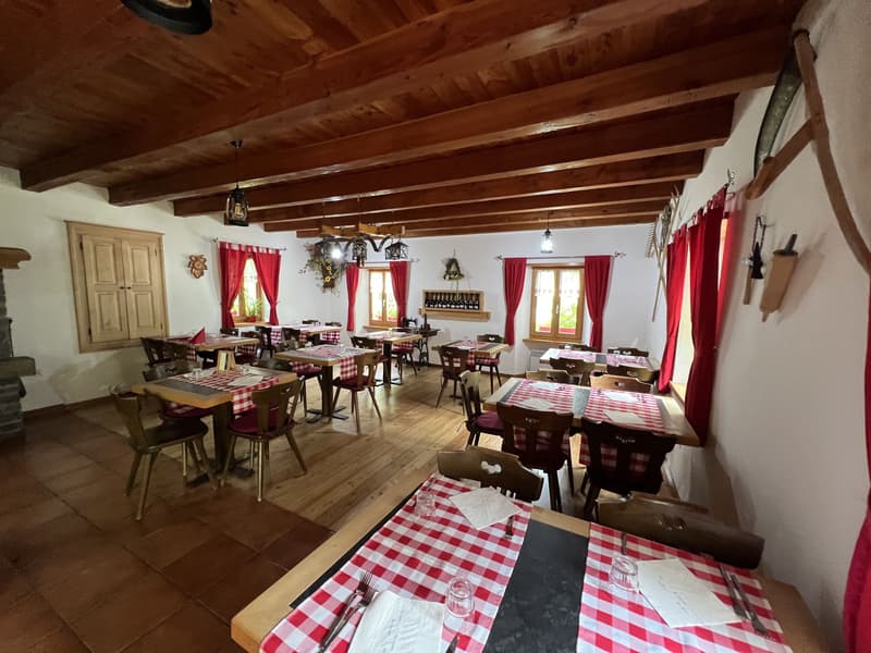 Grotte mit 4 Räumen, rustikalem Anbau und großem Grünbereich in Roveredo (GR) (11)