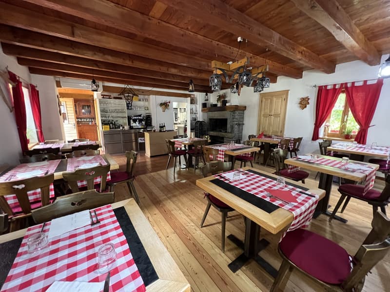 Grotte mit 4 Räumen, rustikalem Anbau und großem Grünbereich in Roveredo (GR) (12)