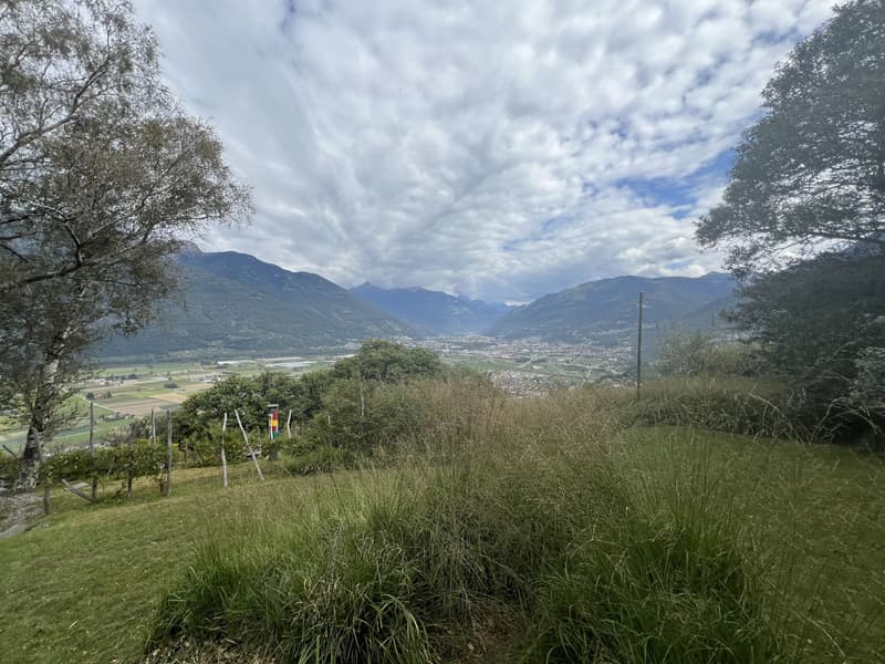 Casa rustica di 3,5 locali con molto terreno a S. Antonino in vendita (8)