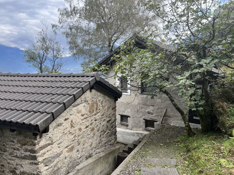 Casa rustica di 3,5 locali con molto terreno a S. Antonino in vendita (1)