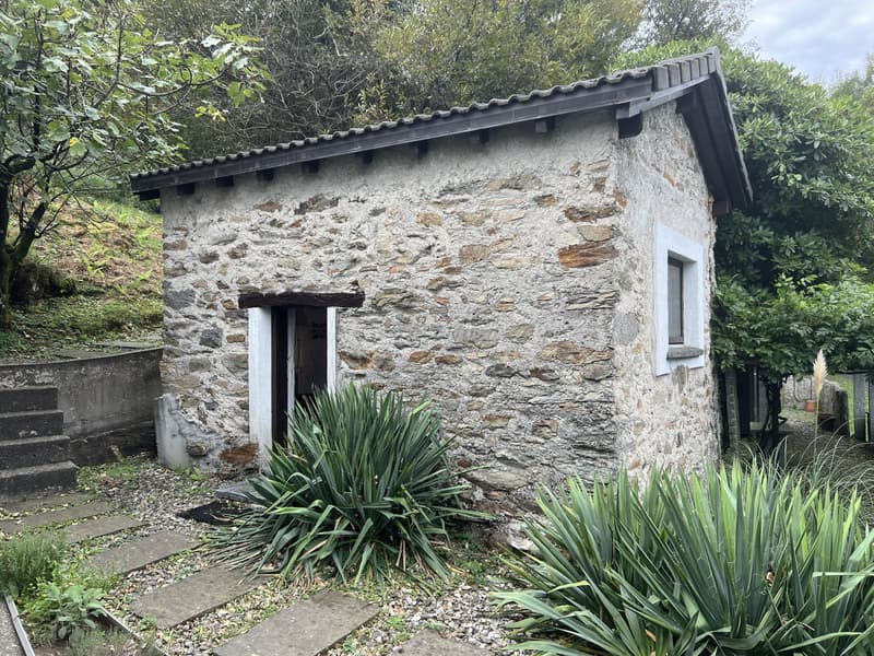 Casa rustica di 3,5 locali con molto terreno a S. Antonino in vendita (4)