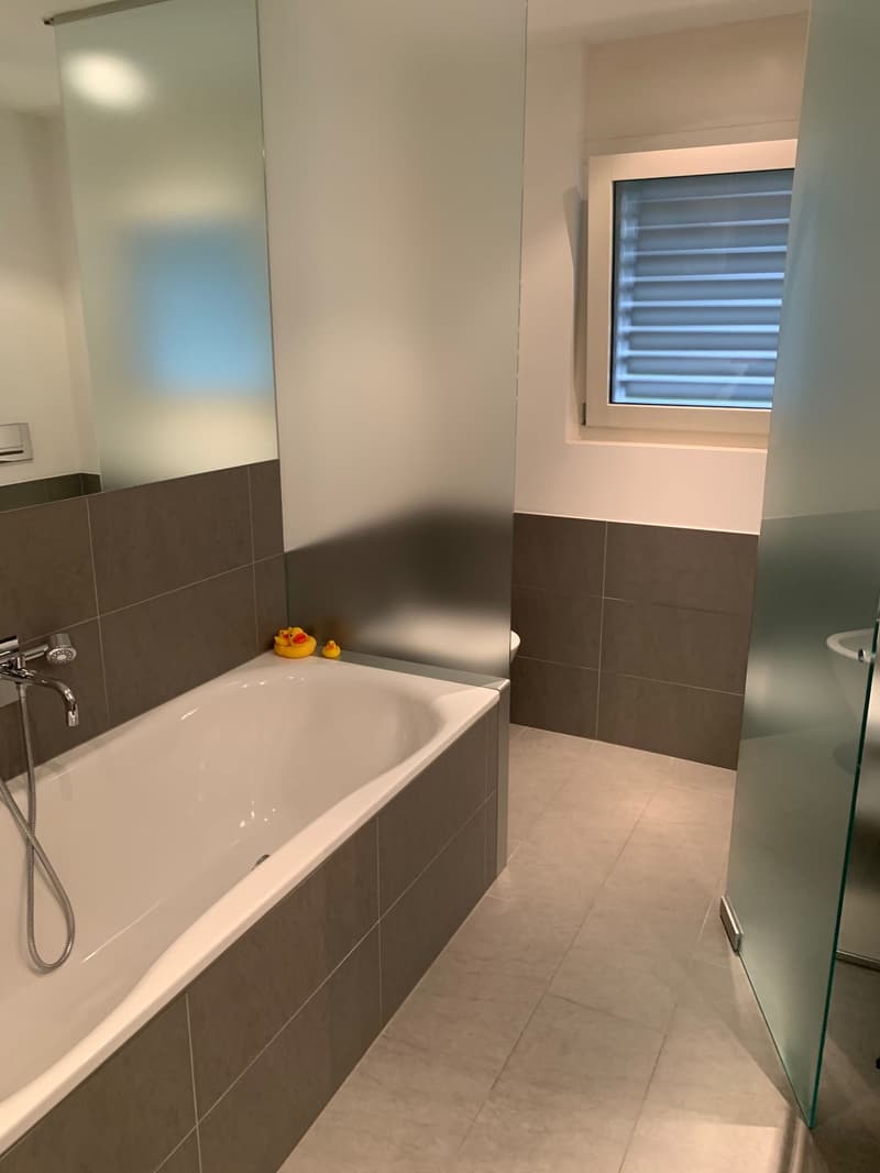 Vezia, 4.5 rooms with 30 m² terrace - elegant and practical (10)