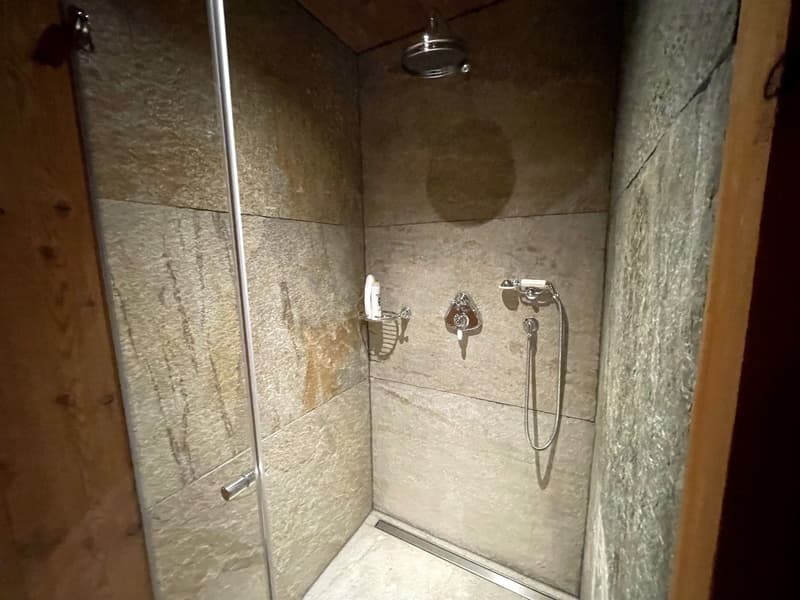 3.5-Zi. Designwohnung mit grosser Terrasse in Laax kaufen (10)