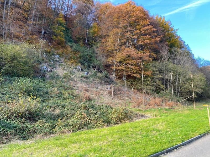 Terreno edificabile soleggiato con vista a Maglio di Colla (1)