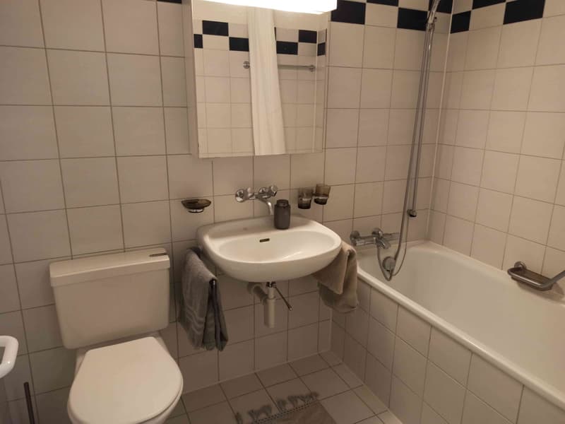 Apartment in Luzern (3)
