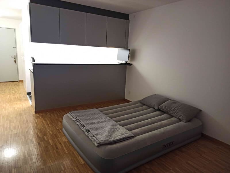 Apartment in Luzern (5)