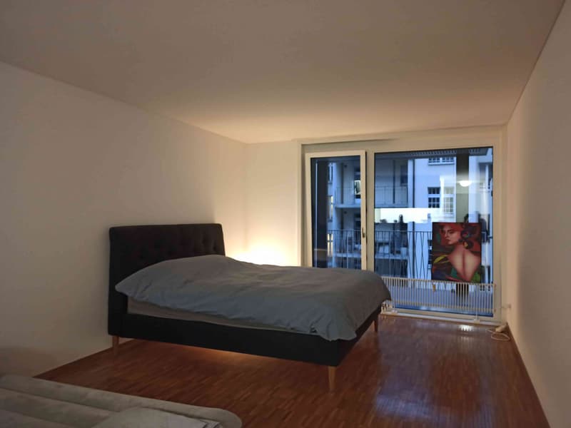 Apartment in Luzern (1)