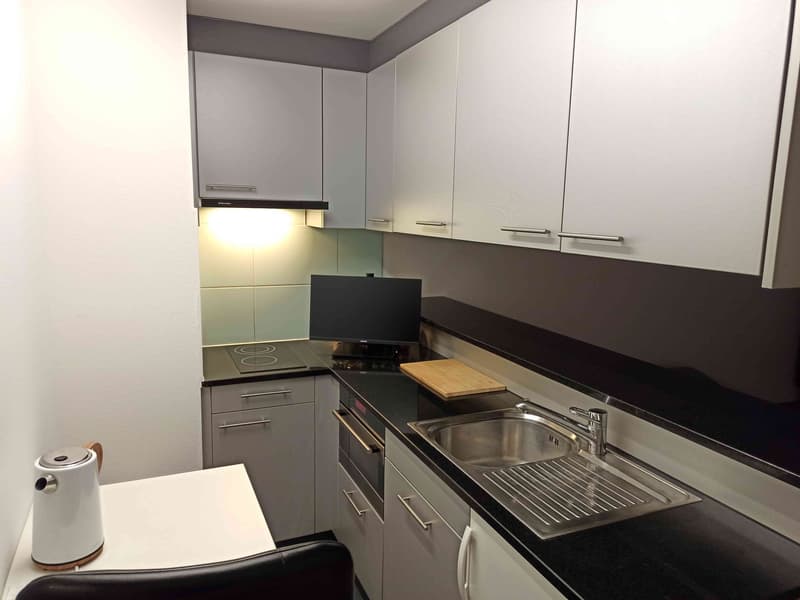 Apartment in Luzern (4)