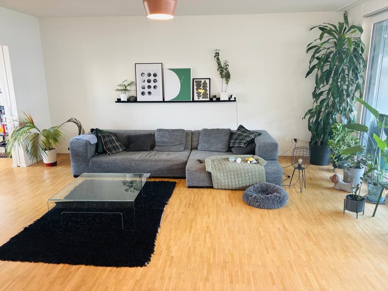Room in shared flat in Zürich (1)