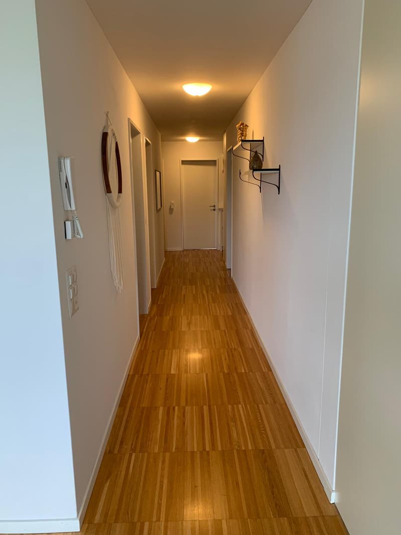 Room in shared flat in Sursee (2)