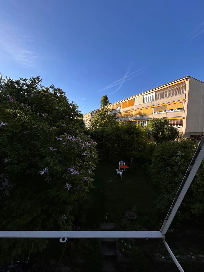 WG-Zimmer in Basel (2)