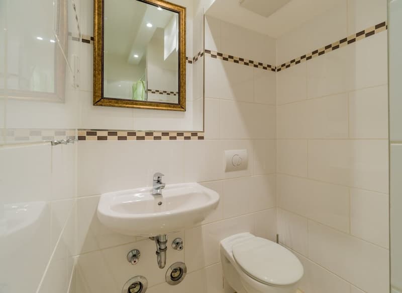 Chambre en colocation à Lausanne (5)