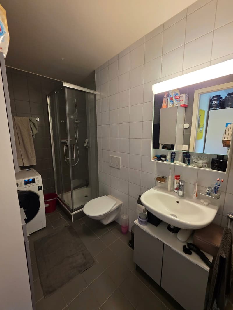 Chambre en colocation à Zürich (3)