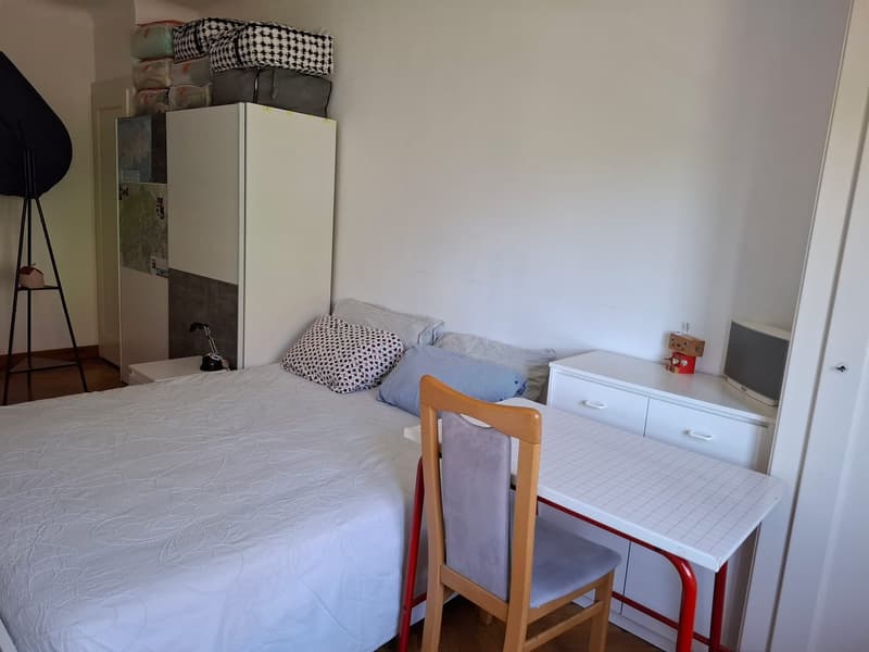 Chambre en colocation à Zürich (2)