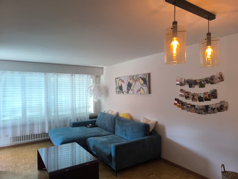 Room in shared flat in Wettswil (9)