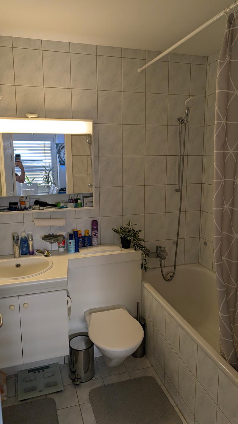 WG-Zimmer in Bern (10)