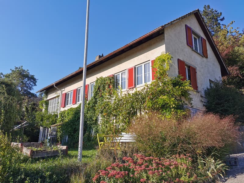 WG-Zimmer in Schaffhausen (1)