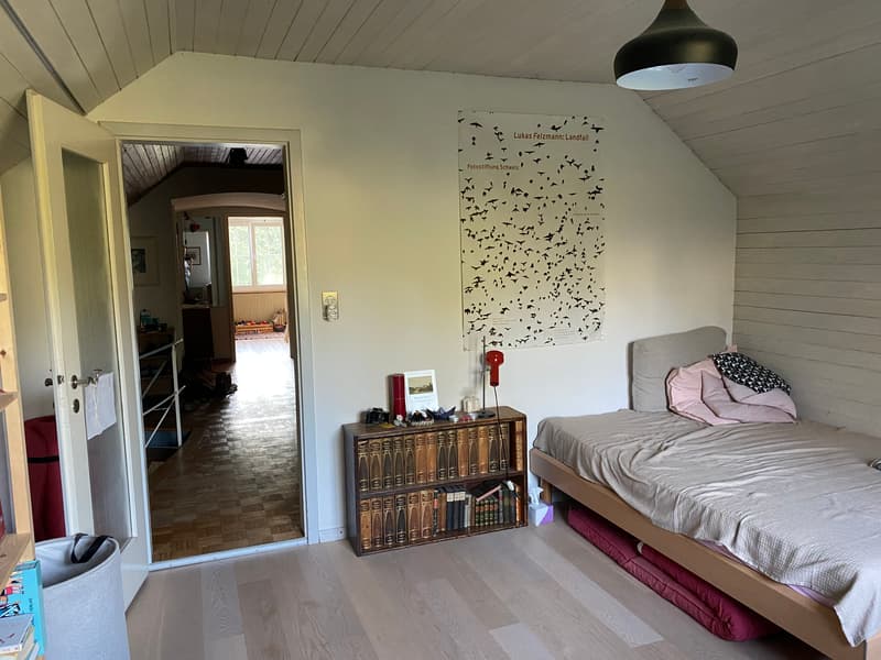 WG-Zimmer in Schaffhausen (4)